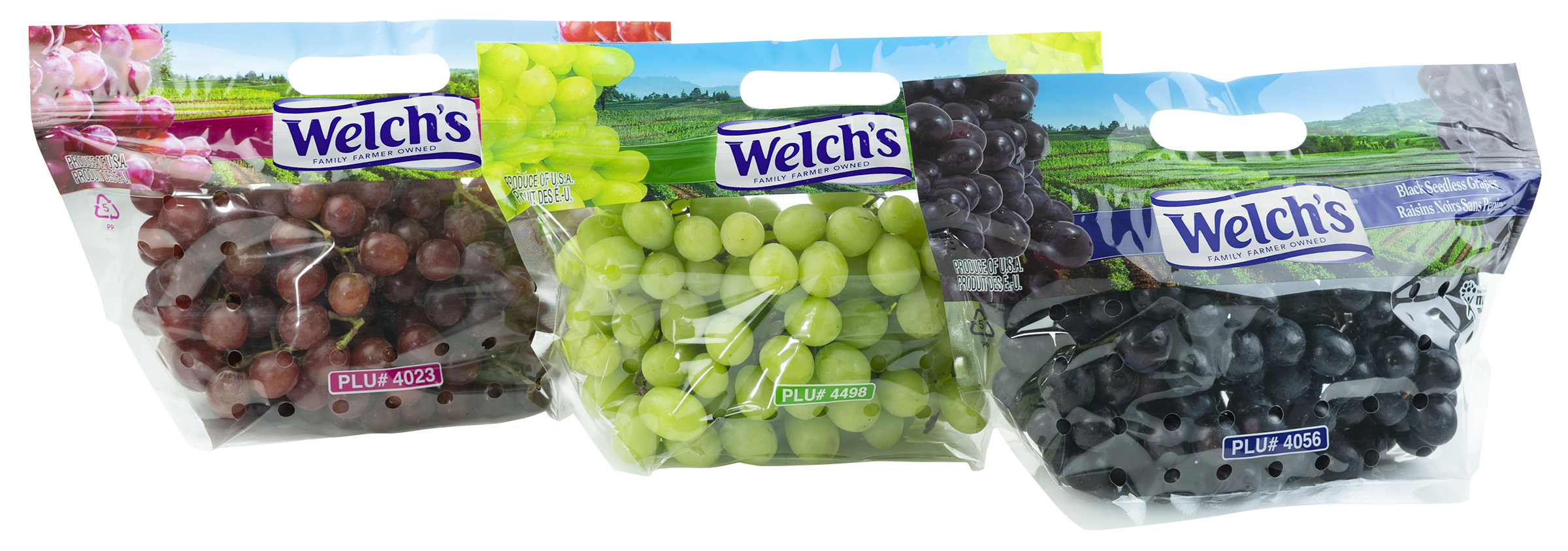 Welch's Fresh Grapes